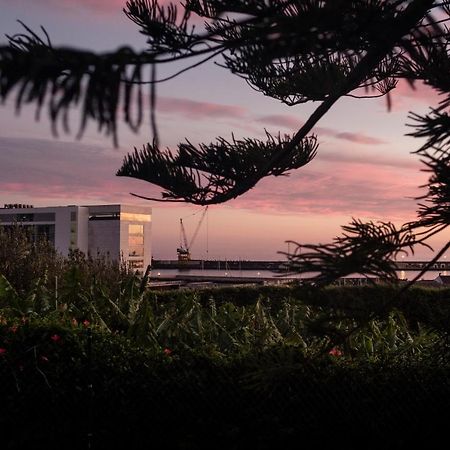 Quinta Das Glicinias Ponta Delgada Dış mekan fotoğraf