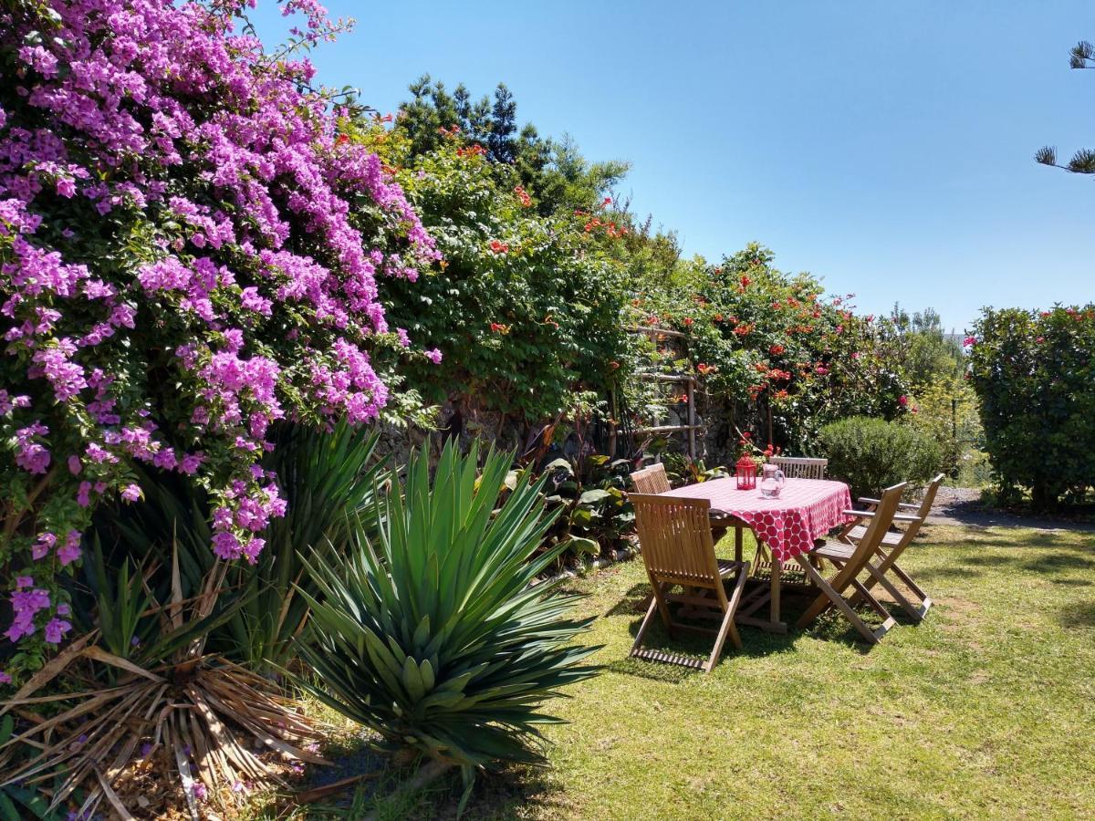 Quinta Das Glicinias Ponta Delgada Dış mekan fotoğraf